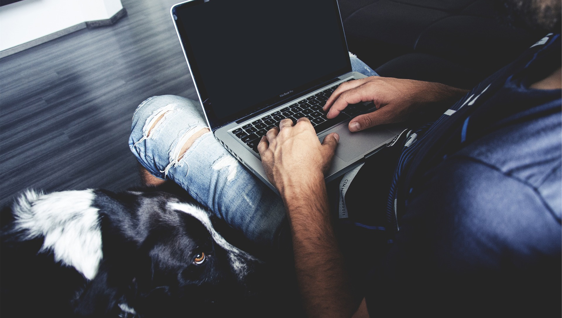 Čtyřnozí “kolegové” aneb jak to vypadá na dog-friendly pracovištích