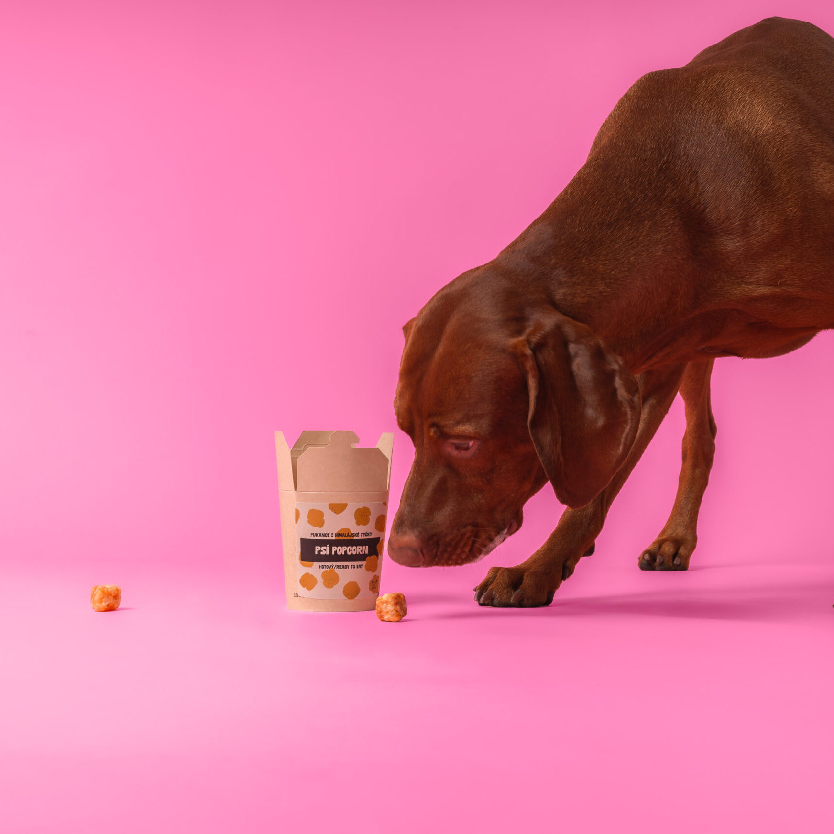 Dogsie Psí Popcorn - Hotové pukance Himalájské tyčky — fotka 3 z 3